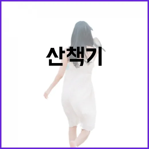 백제의 숨결, 공산성 산책기