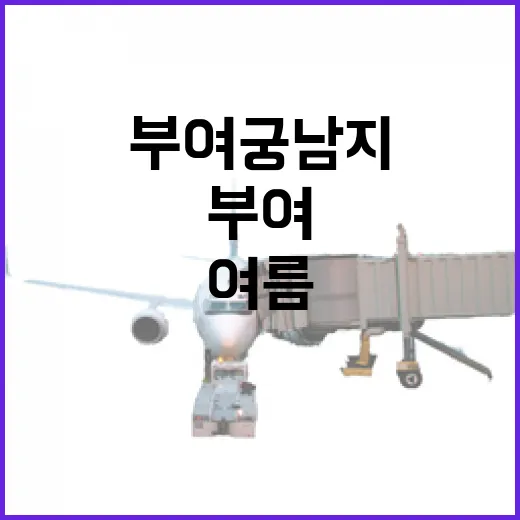부여 궁남지, 여름 끝자락의 고요한 풍경