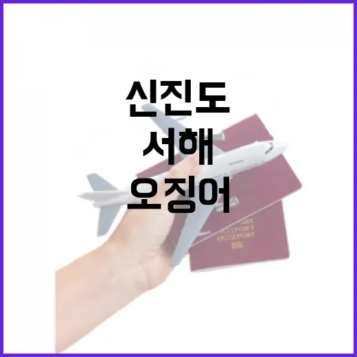 서해 신진도 오징어 먹방 여행기