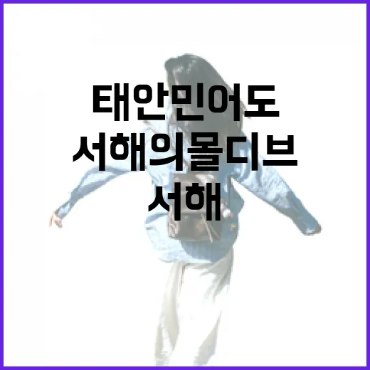 서해의 몰디브, 태안 민어도 스노쿨링 명소