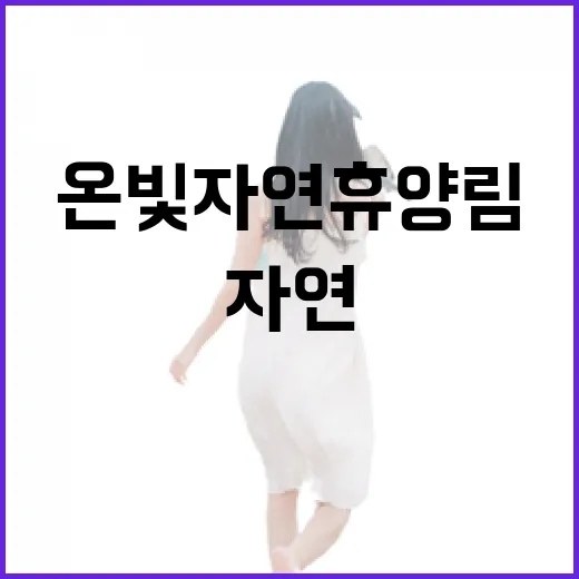 논산 온빛자연휴양림, 이국적 풍경 속 힐링 산책