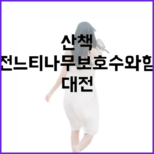 대전 느티나무 보호수와 함께하는 여름 산책