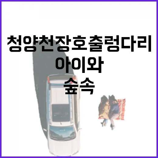 청양 천장호출렁다리 아이와 숲속 힐링 산책