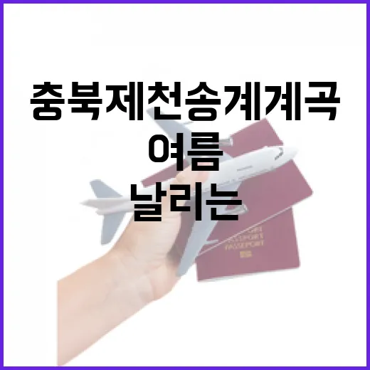 충북 제천 송계계곡, 여름 무더위 날리는 청량 명소