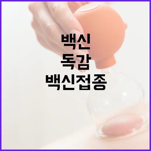 내년 독감·HPV 백신 접종 확대는 미확정