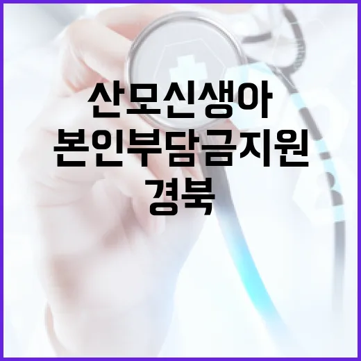 경북 출산가정 산모신생아 본인부담금 지원