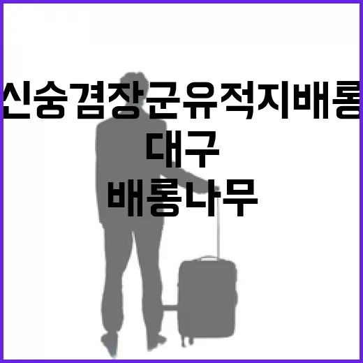 대구 신숭겸장군유적지 배롱나무 산책길