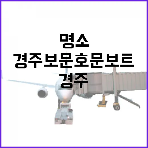 경주 보문호 문보트, 밤을 밝히는 로맨틱 명소