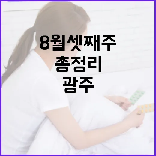 광주 8월 셋째주 핫플레이스 총정리