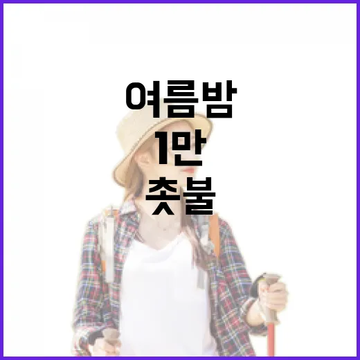 대전 밤밤페스타, 1만 촛불과 함께한 여름밤 축제