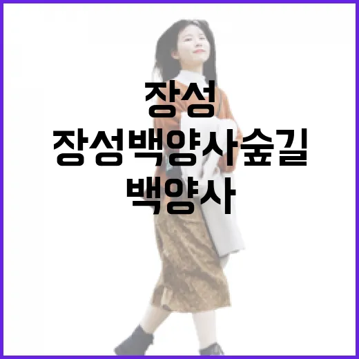 장성 백양사 숲길, 디지털 디톡스 명소