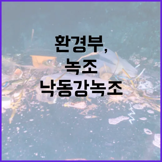 환경부, 낙동강 녹조 경보제 대폭 개선