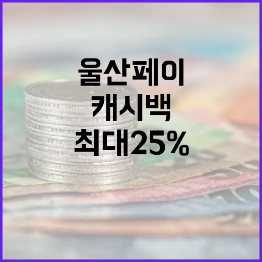 울산 페이, 여름 최대 25% 캐시백 쏜다