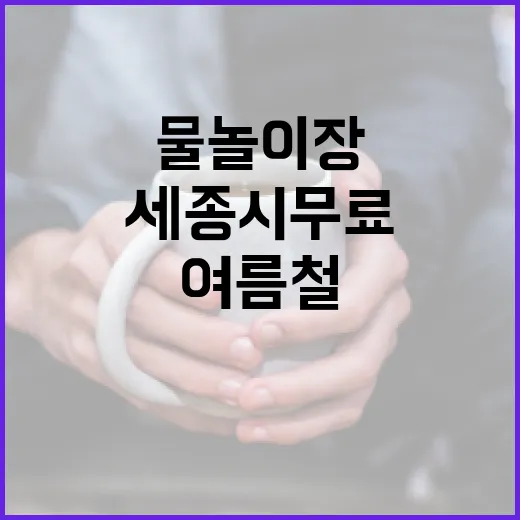 세종시 무료 물놀이장 여름철 인기 명소