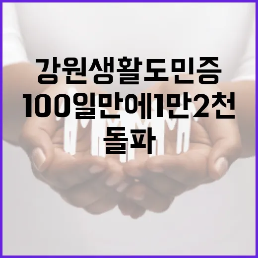 강원생활도민증 100일 만에 1만2천 돌파