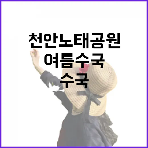 천안 노태공원, 여름 수국 만개한 도심 속 휴식처