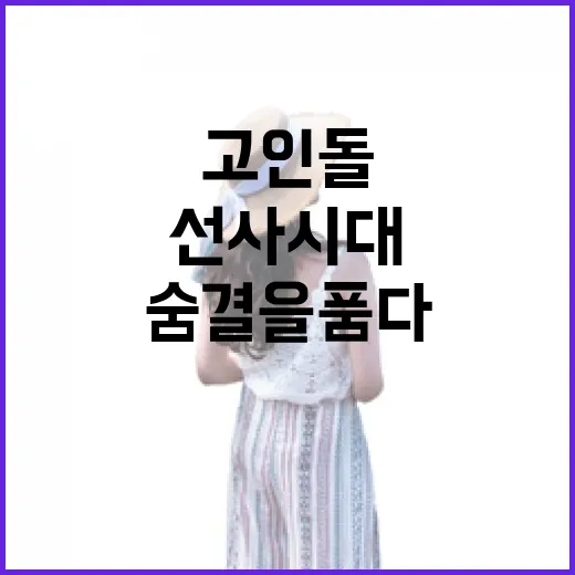 장흥 고인돌, 선사시대 숨결을 품다