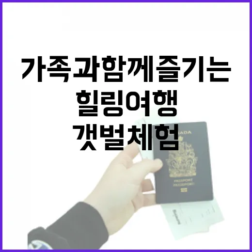 전남 갯벌 체험, 가족과 함께 즐기는 힐링 여행