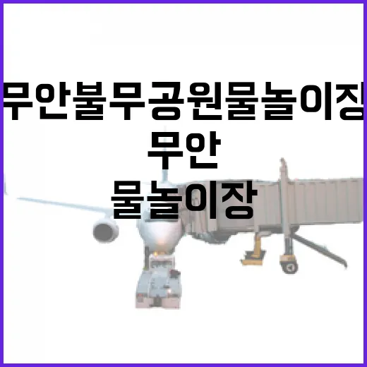 무안 불무공원 물놀이장, 가족 휴식 명소