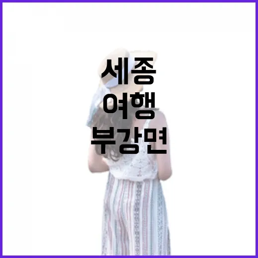 세종 부강면 역사 건축 여행