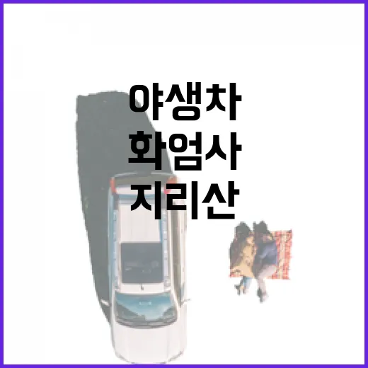 지리산 화엄사에서 즐기는 야생차 힐링