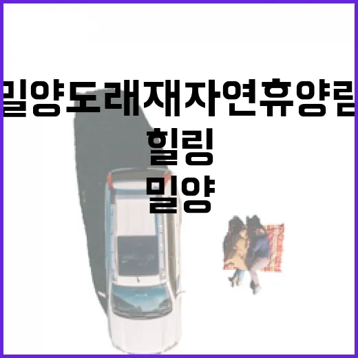 밀양 도래재 자연휴양림에서 만나는 힐링의 숲