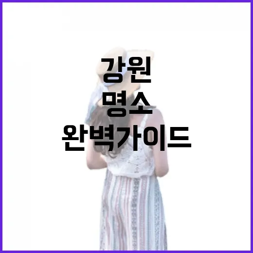 강원 실내 여행 명소 완벽 가이드