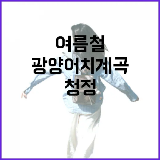 광양 어치계곡, 여름철 청정 피서지