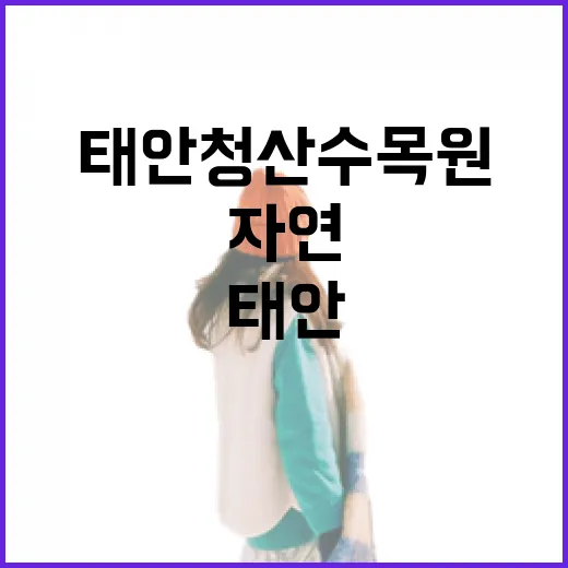 태안 청산수목원, 자연 속 힐링 명소