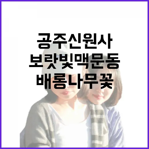 공주 신원사, 보랏빛 맥문동과 붉은 배롱나무꽃의 여름 풍경