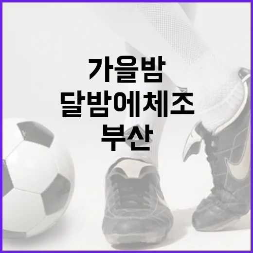 가을밤 부산 달밤에체조 챌린지 개막