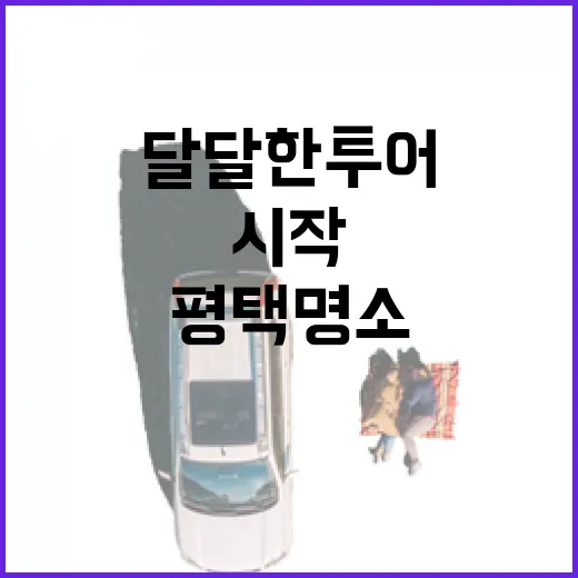 평택 명소 완벽 가이드, 달달한 투어 시작