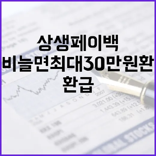 소비 늘면 최대 30만 원 환급, 상생페이백 시작