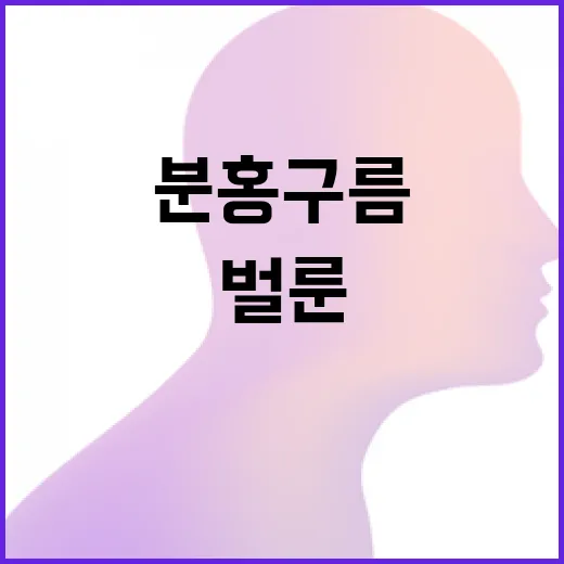 DDP서 만나는 초대형 벌룬과 분홍 구름