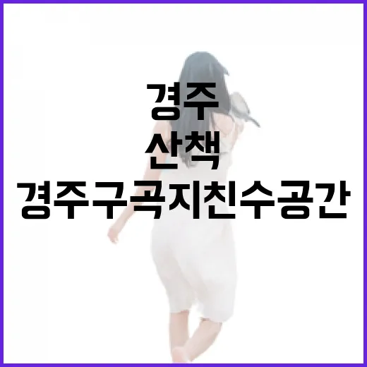 경주 구곡지 친수공간 산책 명소
