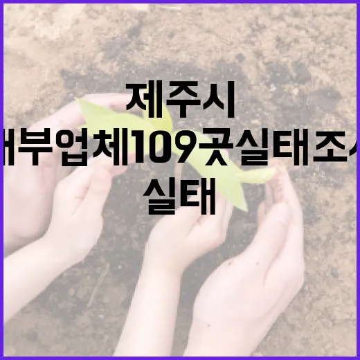 제주시 대부업체 109곳 실태조사 착수