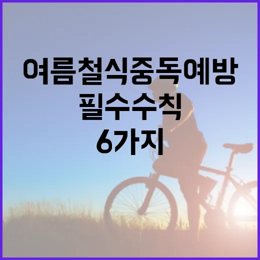 여름철 식중독 예방, 6가지 필수 수칙