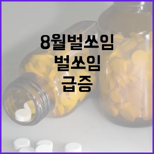 8월 벌 쏘임 급증, 긴 옷과 밝은 모자 필수