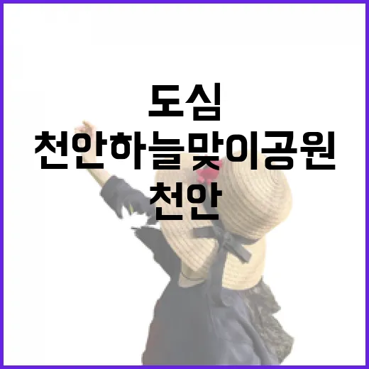 천안 하늘맞이공원, 도심 속 힐링 산책 명소