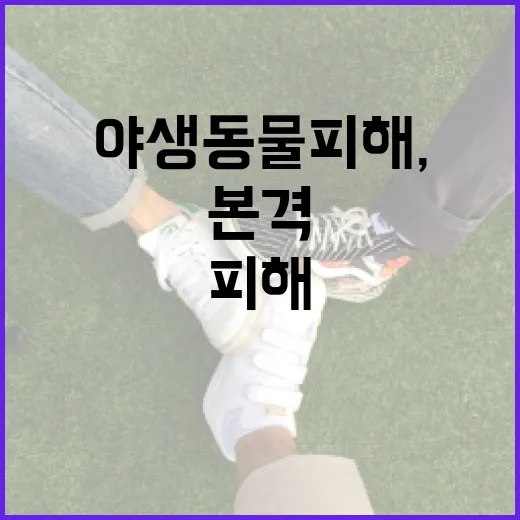 야생동물 피해, 제주 보상제도 본격 가동