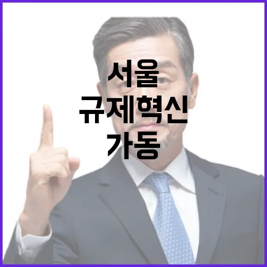 서울, 규제혁신 365일 상시 가동 선언
