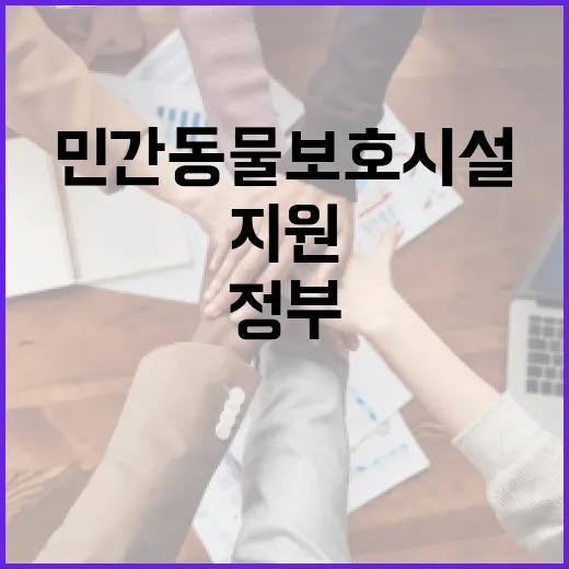 민간동물보호시설 정상화 위한 정부 지원 강화