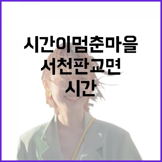 서천 판교면, 시간이 멈춘 마을의 예술 산책
