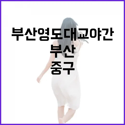 부산 영도대교 야간 도개쇼와 중구 맛집 탐방