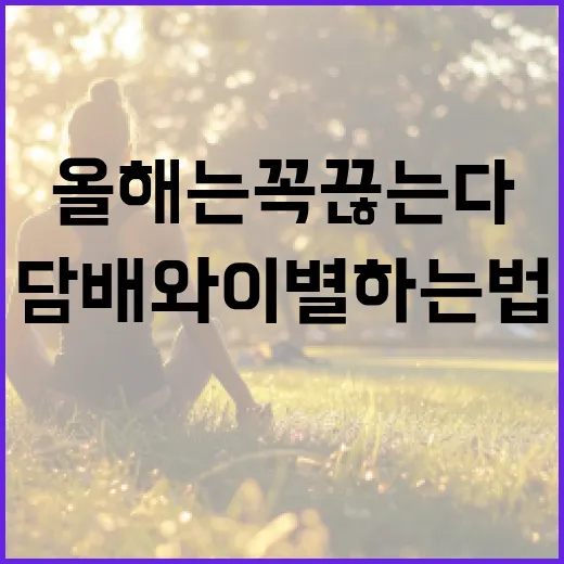 올해는 꼭 끊는다 담배와 이별하는 법