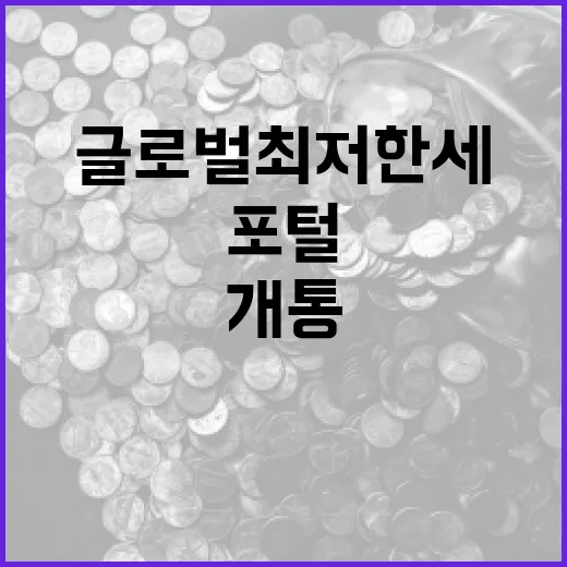 국세청, 글로벌최저한세 전용포털 개통