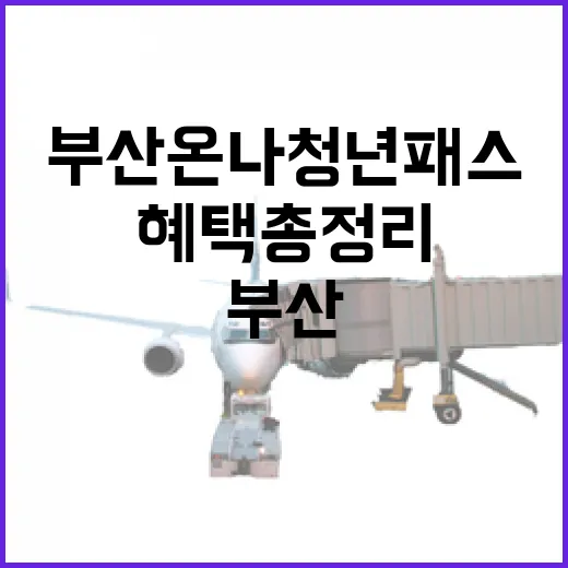 부산온나청년패스, 청년 여행객 혜택 총정리
