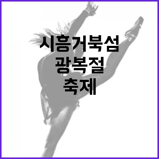 광복절 밤, 빛으로 물든 시흥 거북섬 축제