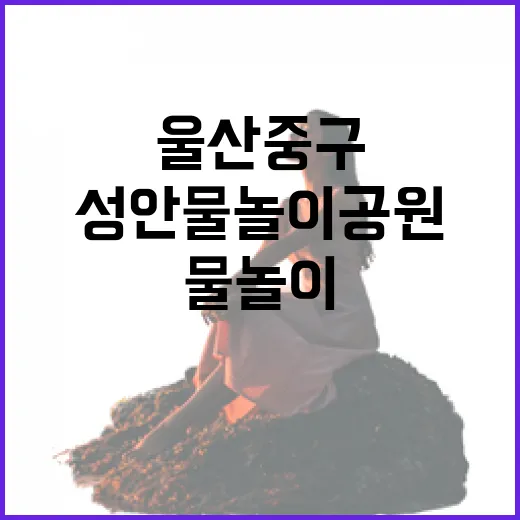 울산 중구 성안물놀이공원 시원한 여름 명소