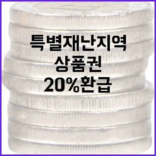 특별재난지역 디지털상품권 최대 20% 환급